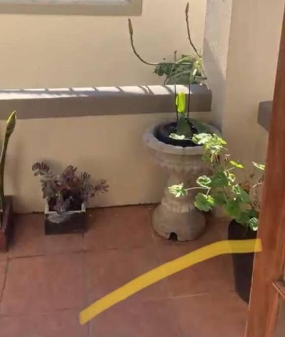 1-Bedroom Sea Point Gem - Perfect Location! ケープタウン エクステリア 写真